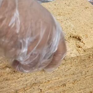 حلوا گردویی ممتاز